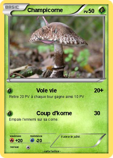 Pokemon Champicorne