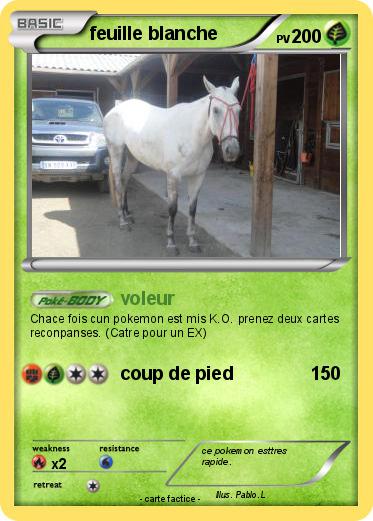 Pokemon feuille blanche