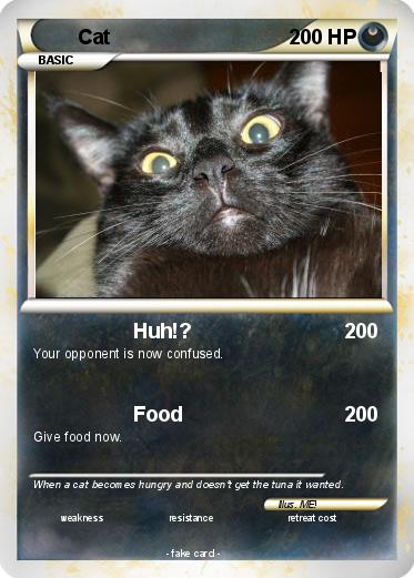Pokemon Cat