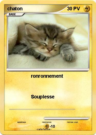 Pokemon chaton