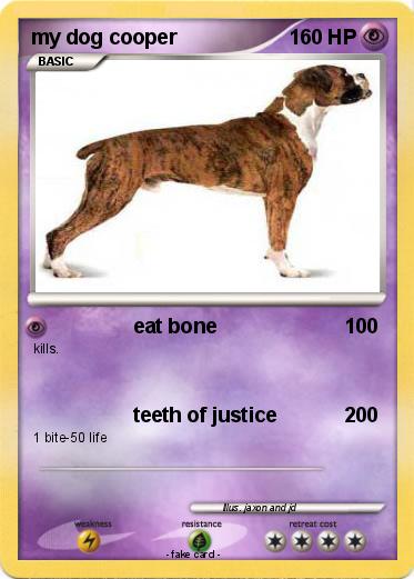 Pokemon my dog cooper