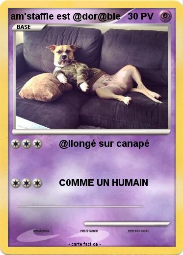 Pokemon am'staffie est @dor@ble