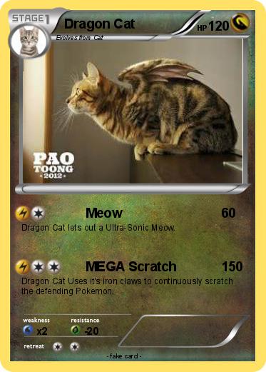 Pokemon Dragon Cat