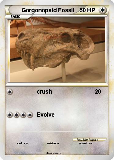 Pokemon Gorgonopsid Fossil