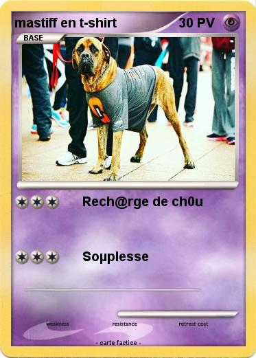 Pokemon mastiff en t-shirt