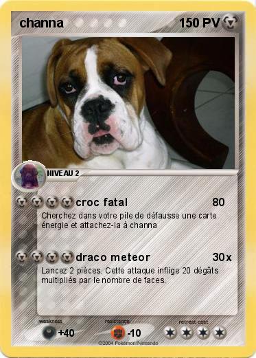 Pokemon channa