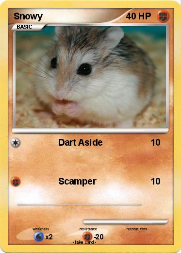 Pokemon Snowy