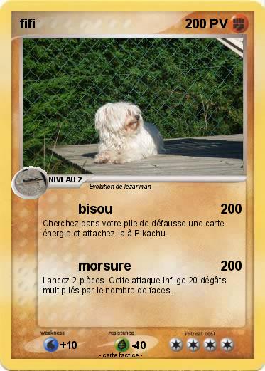 Pokemon fifi