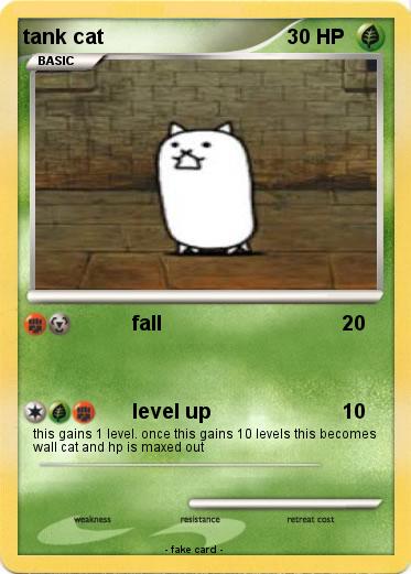 Pokemon tank cat