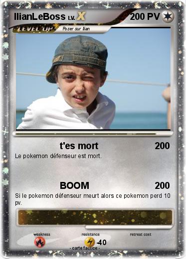 Pokemon IlianLeBoss