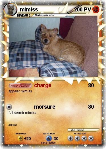 Pokemon mimiss