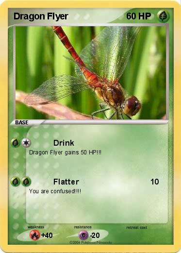 Pokemon Dragon Flyer
