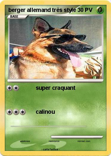 Pokemon berger allemand très style