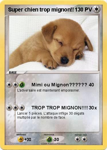 Pokemon Super chien trop mignon!!