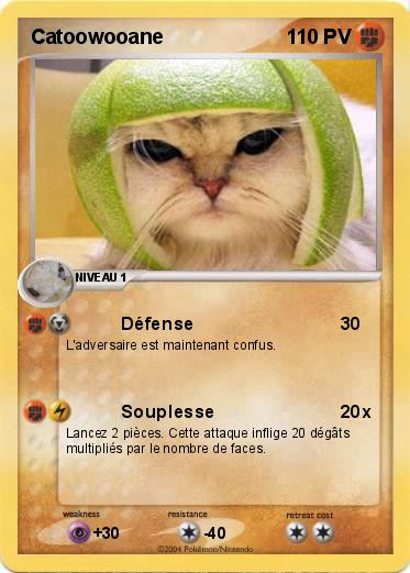 Pokemon Catoowooane 