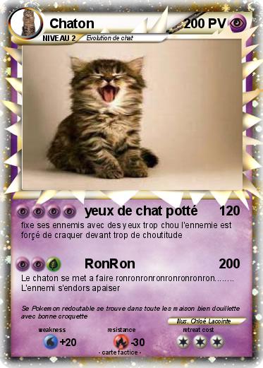 Pokemon Chaton