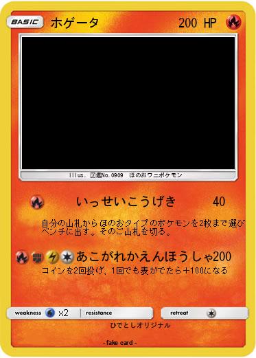 Pokemon ホゲータ