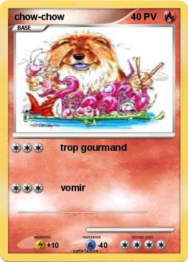 Pokemon chow-chow
