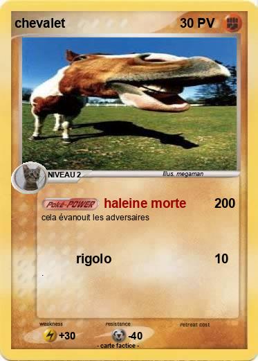 Pokemon chevalet
