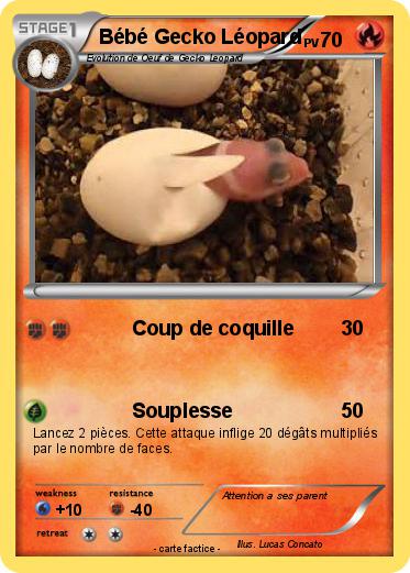 Pokemon Bébé Gecko Léopard
