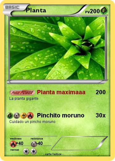Pokemon Planta