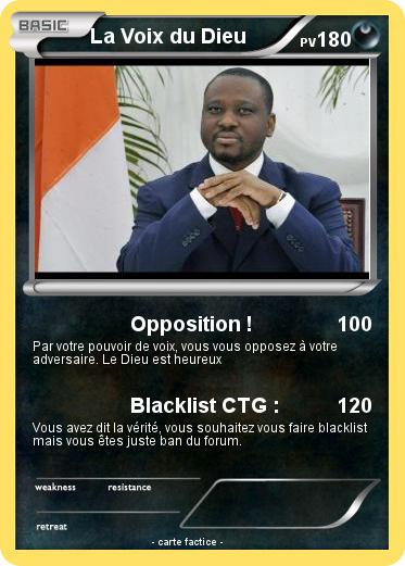 Pokemon La Voix du Dieu