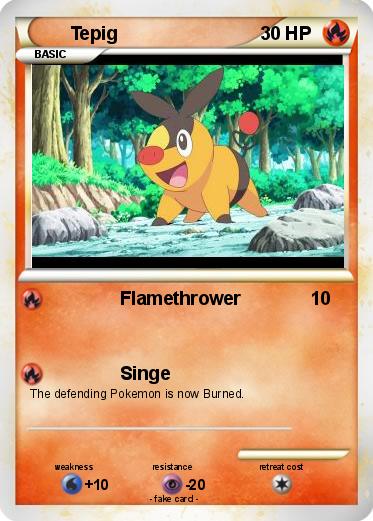 Pokemon Tepig