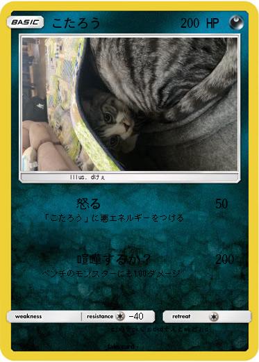 Pokemon こたろう