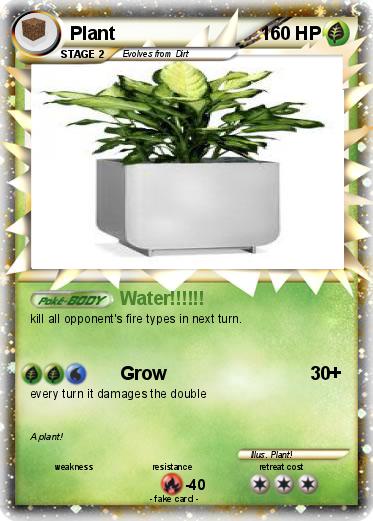 Pokemon Plant