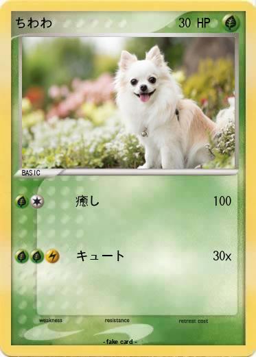 Pokemon ちわわ