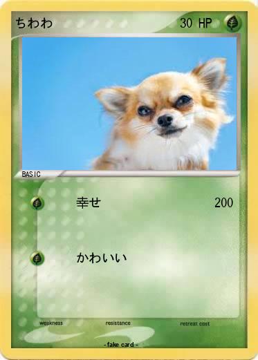 Pokemon ちわわ