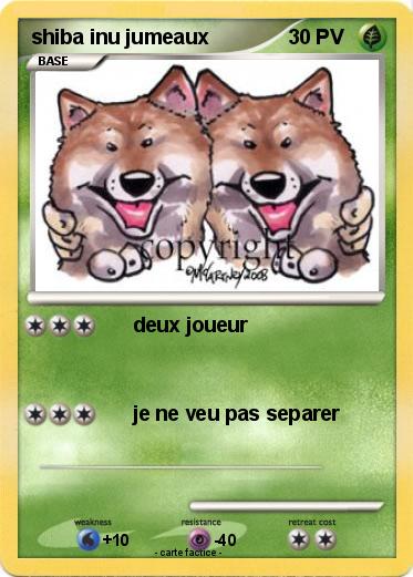 Pokemon shiba inu jumeaux