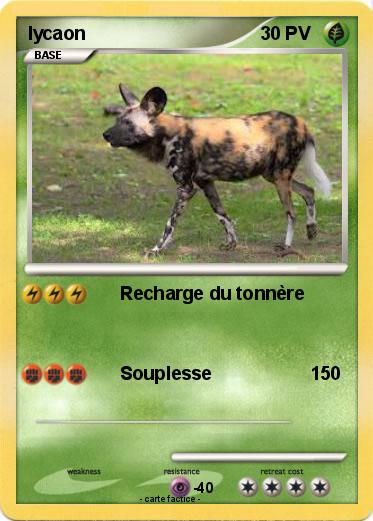 Pokemon lycaon