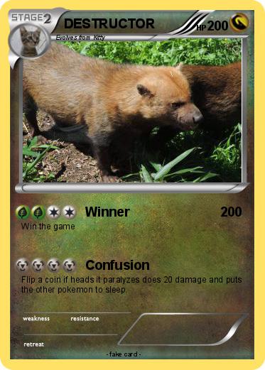 Pokemon DESTRUCTOR