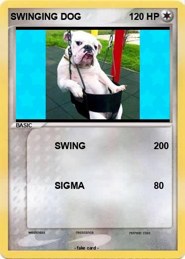 Pokemon SWINGING DOG