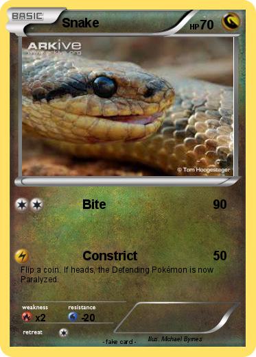 Pokemon Snake