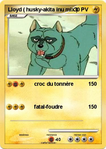 Pokemon Lloyd ( husky-akita inu mix )