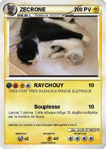 Pokemon ZECRONE
