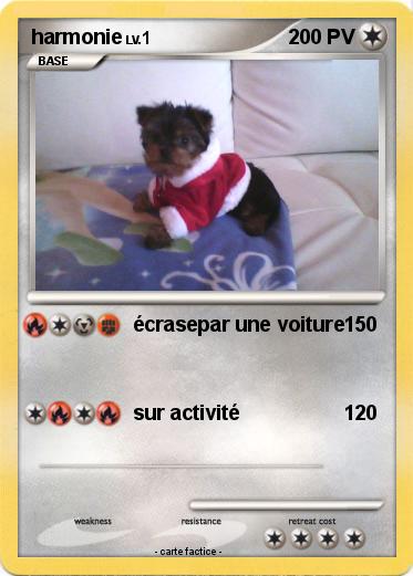 Pokemon harmonie