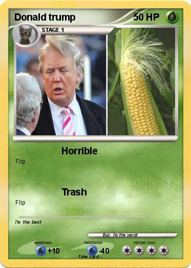 Pokemon Donald trump