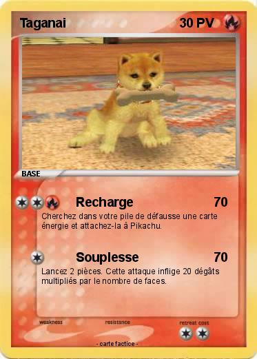 Pokemon Taganai
