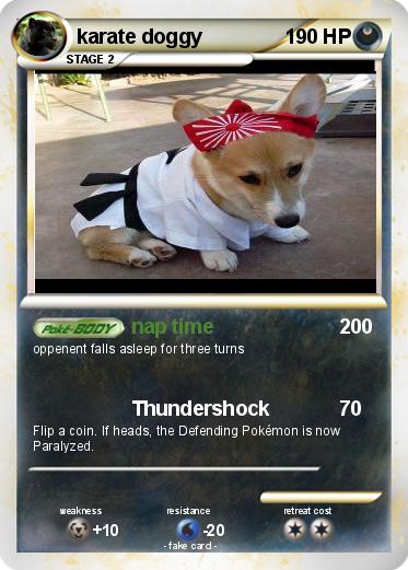 Pokemon karate doggy