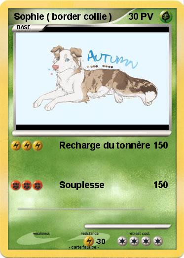 Pokemon Sophie ( border collie )