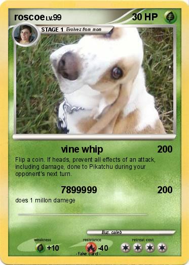 Pokemon roscoe