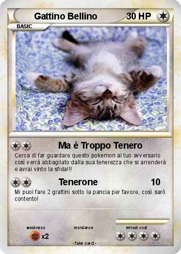 Pokemon Gattino Bellino