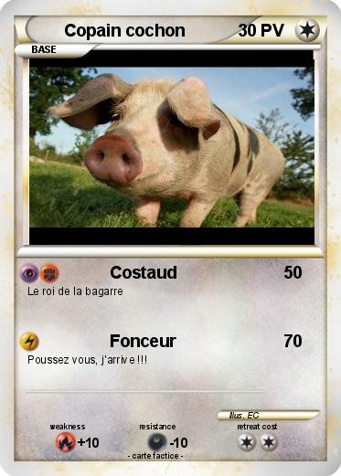 Pokemon Copain cochon