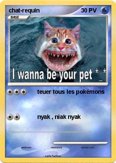 Pokemon chat-requin