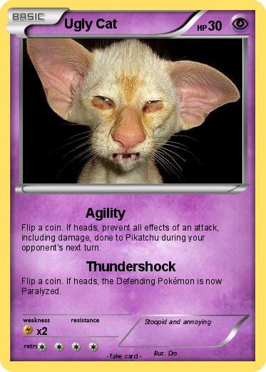 Pokemon Ugly Cat