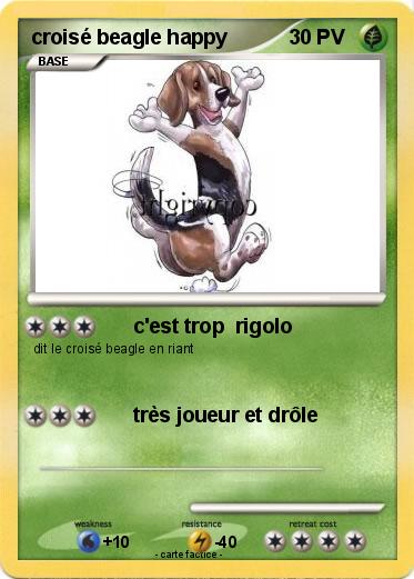 Pokemon croisé beagle happy