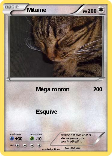 Pokemon Mitaine